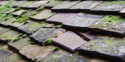 Golborne Dale roof repair costs